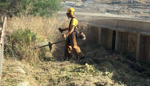 servicio de desbroces de Fincas Podas y Talas Dumitru