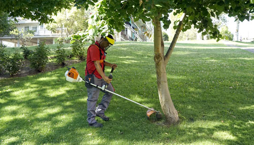 servicios de mantenimiento de jardines Podas y Talas Dumitru